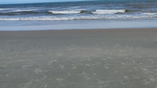 A beach with sand and waves.
