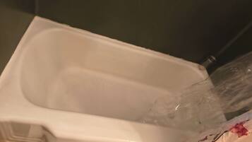 Serviettes fournies, savon, papier de toilette