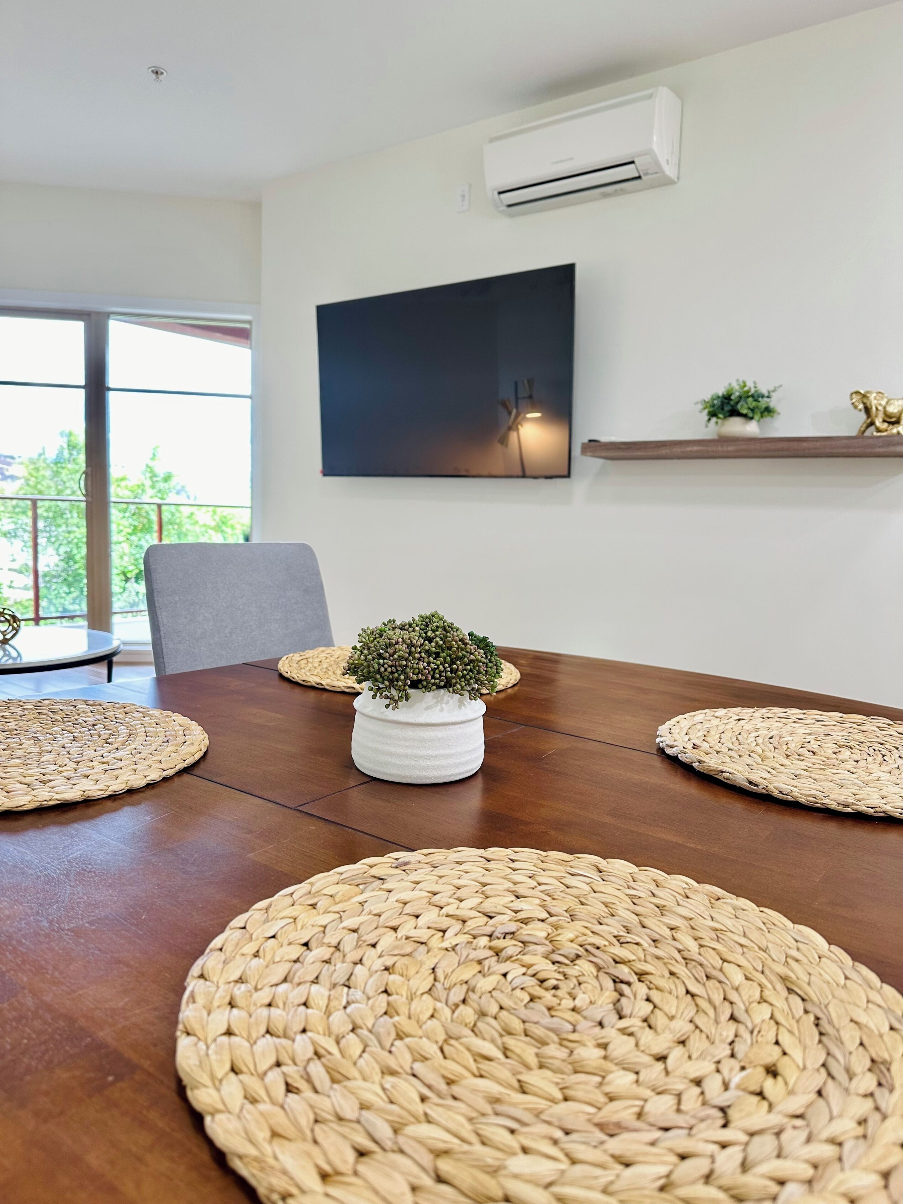 A dining table with woven placemats, a potted plant, a wall-mounted air conditioner, and a framed picture.