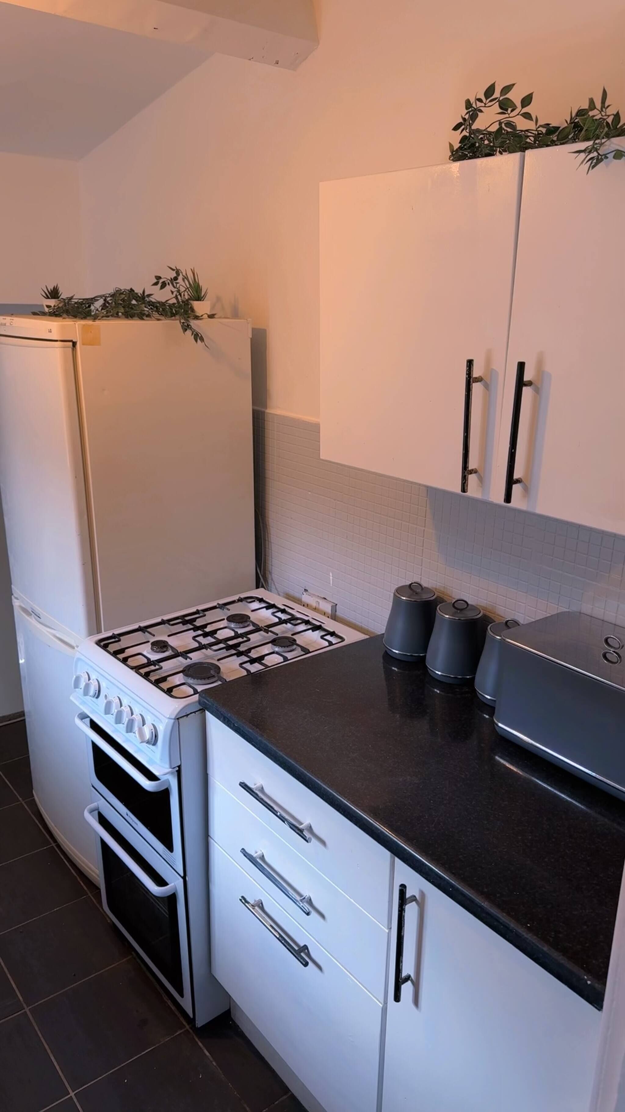 Kühlschrank, Mikrowelle, Ofen, Herdplatte