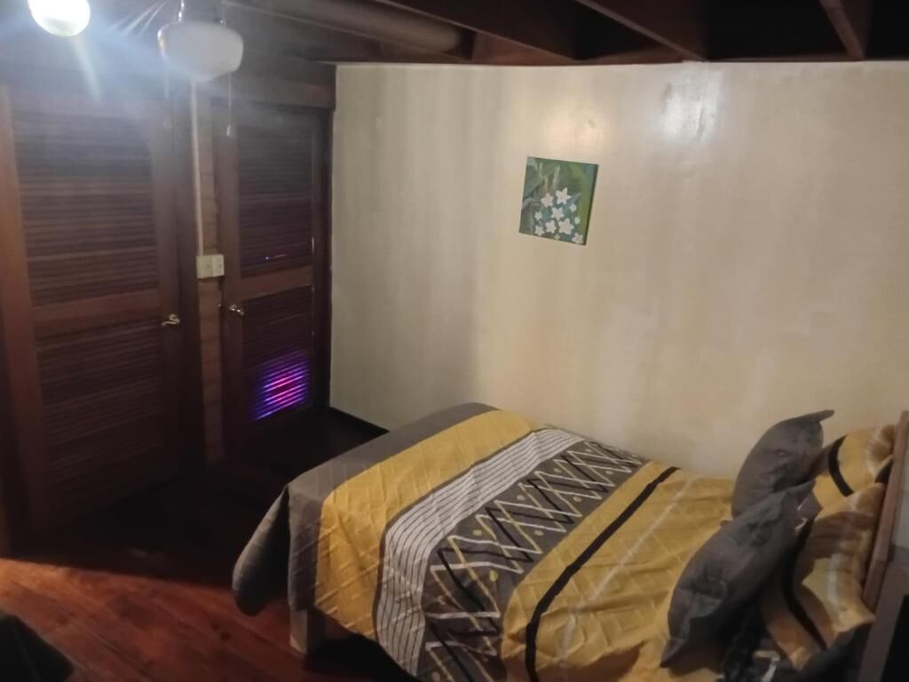A room with a bed, a wooden door, and a small wall-mounted picture.