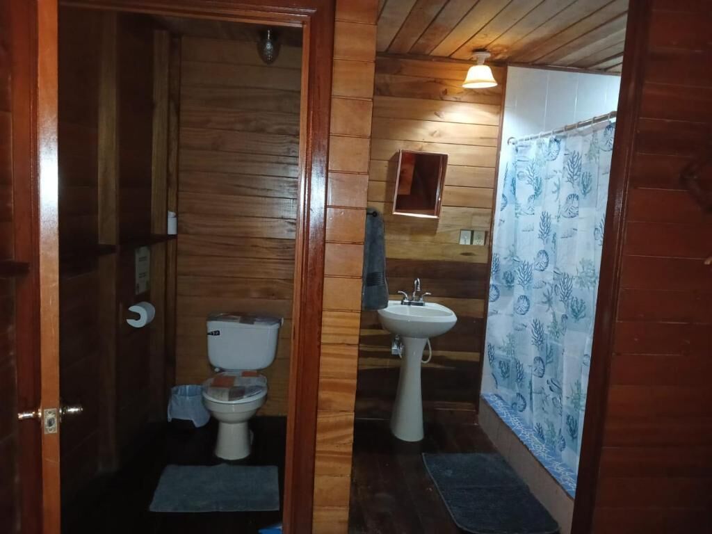 Double Room | Bathroom | Shower, hair dryer, towels