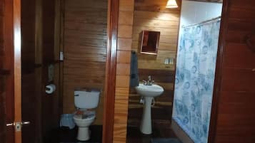 Double Room | Bathroom | Shower, hair dryer, towels