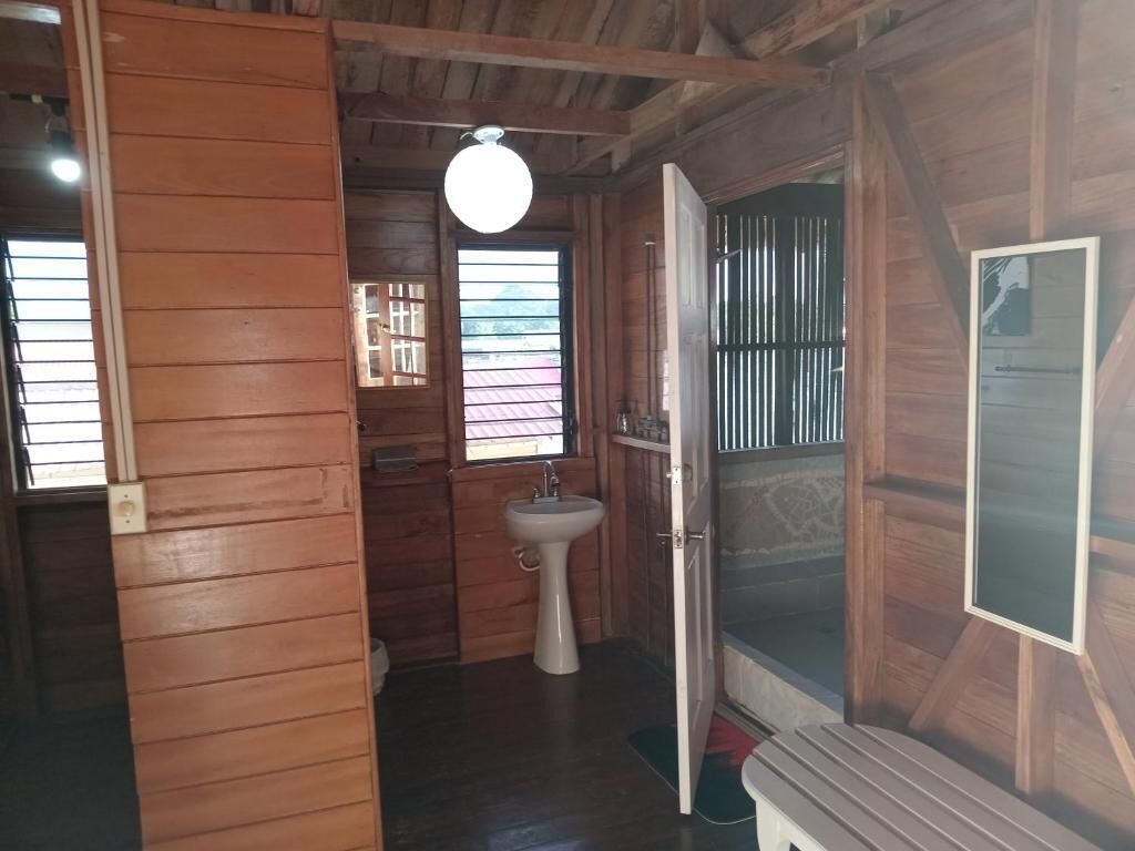 A wooden interior with a sink, a door leading to a shower area, and a framed picture on the wall.