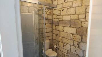 Un baño con pared de piedra, cabina de ducha de vidrio, inodoro y baldosas de piso estampadas.