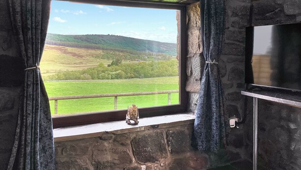 A stone-walled room with a window overlooking a green landscape. - 1 bedroom accommodation in Rogart (Rogart)