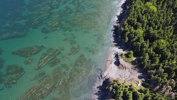 An aerial view of a coastal area with clear water, a sandy beach, and dense green forest.