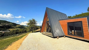Une maison moderne avec un toit en pente, de grandes fenêtres et une allée gravillonnée.