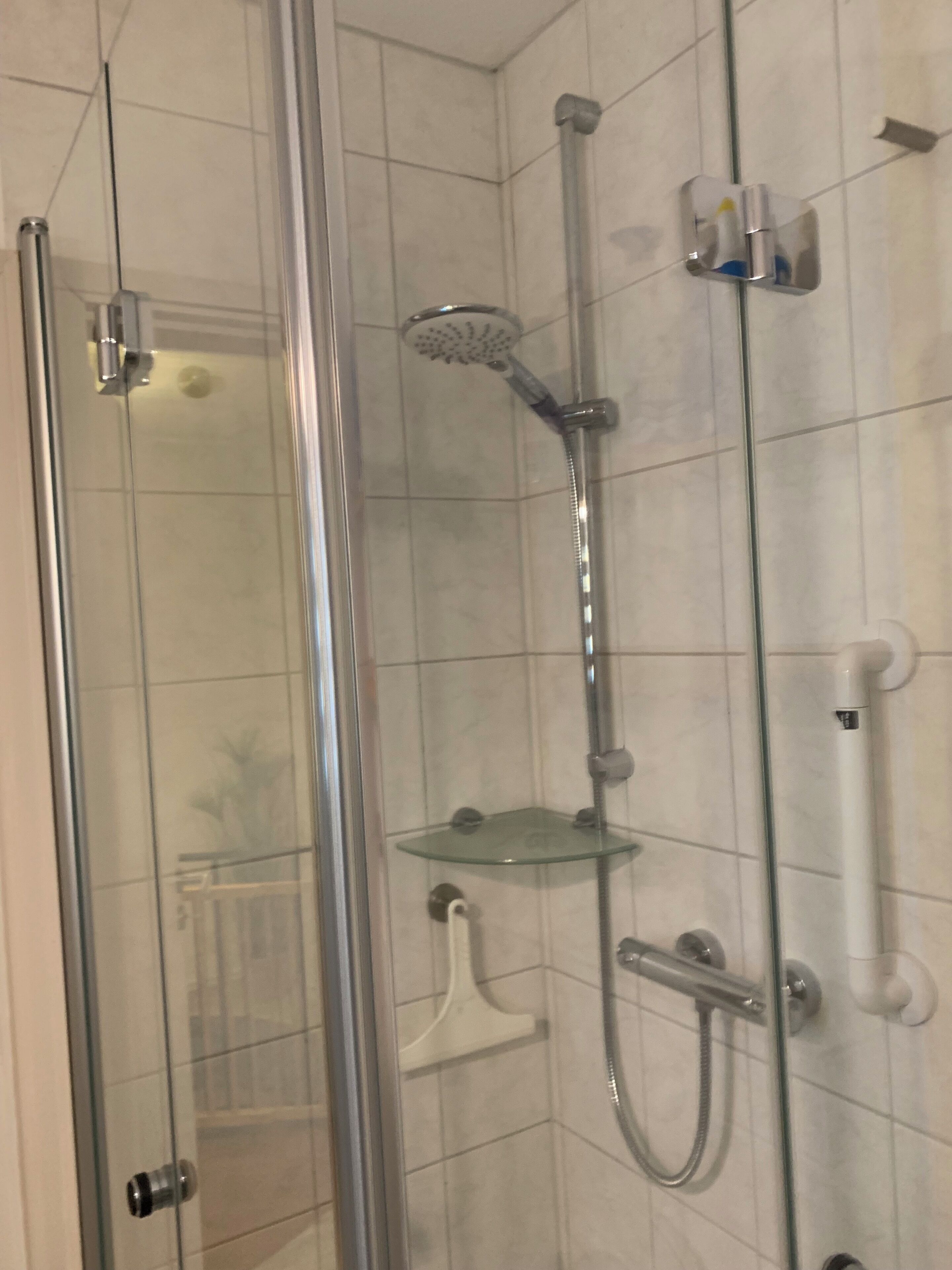 Une douche fermée par des parois en verre, dotée d’un pommeau de douche à main, d’une étagère en verre et d’un flexible de douche à main.