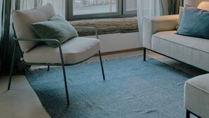 A room with two chairs, a sofa, a window with curtains, and a lamp. - Historic Landmark House near Rhine Falls, Schaffhausen & Lake Constance (Diessenhofen)