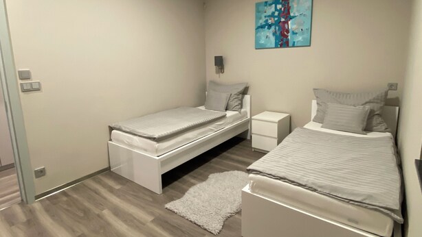 A bedroom with two beds, a nightstand, a wall-mounted light, and a painting. - Premium 2-bedroom apartment with 2 bathrooms, balcony and private entrance. (Budapest)