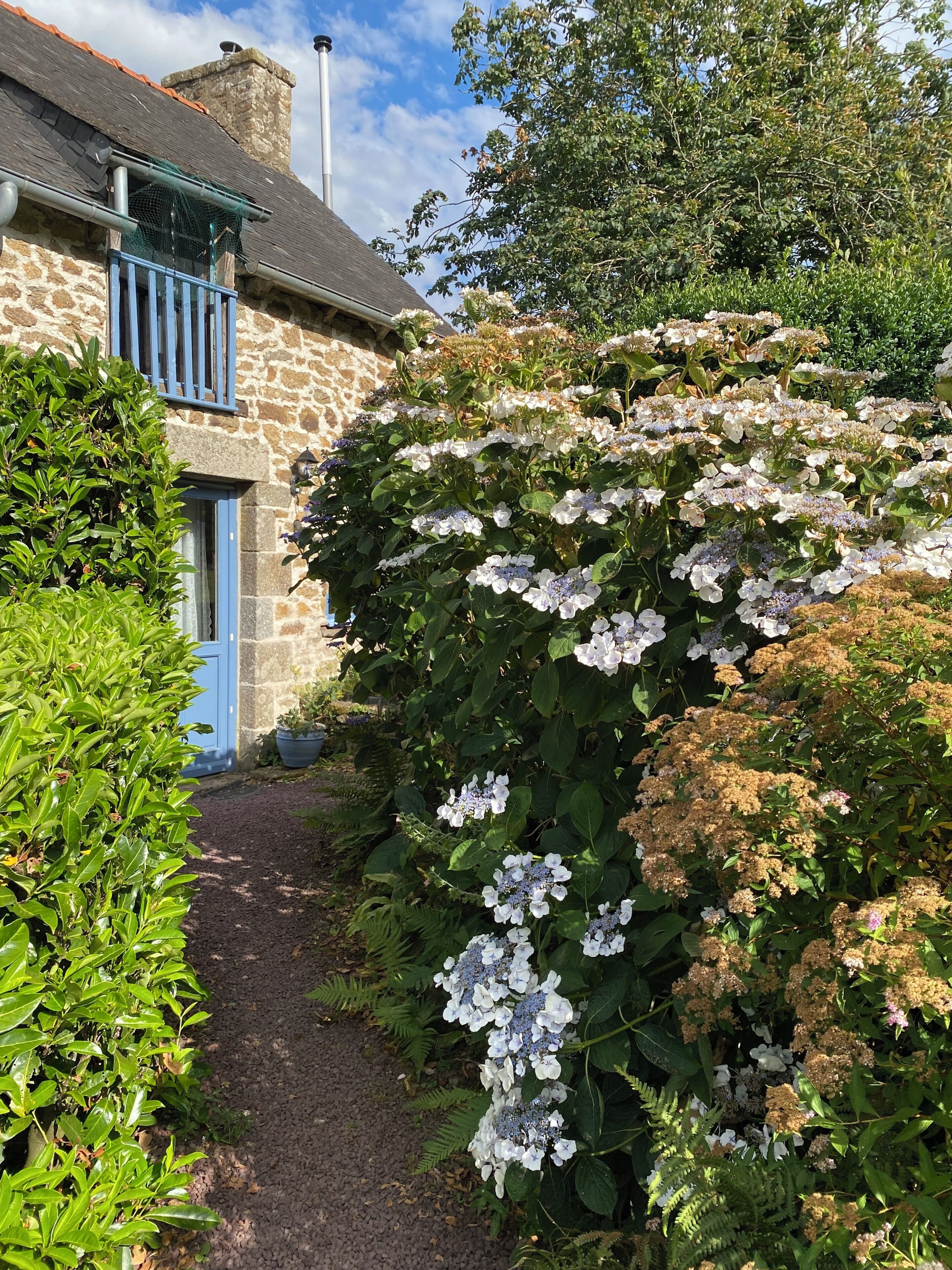 Een stenen gebouw met een blauwe deur en een tuin vol witte bloemen en groen blad.
