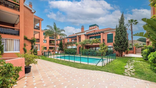 Un pati amb piscina, plantes en testos i un camí empedrat.