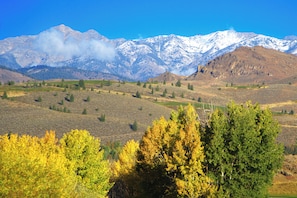 Un paysage montagneux, avec des sommets enneigés et une vallée bordée d’arbres.