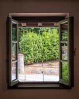 Una ventana abierta con vista a un seto verde y un muro de ladrillo.