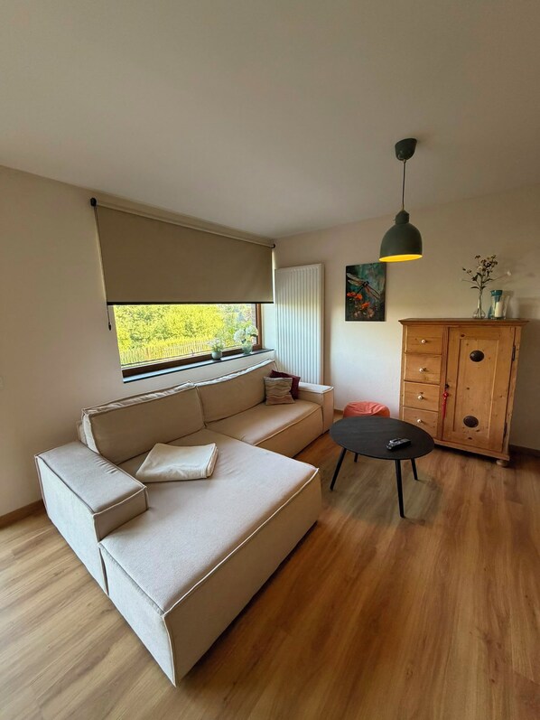 Een moderne woonkamer met een bank, een bijzettafeltje, een kast en een raam met zonwering.