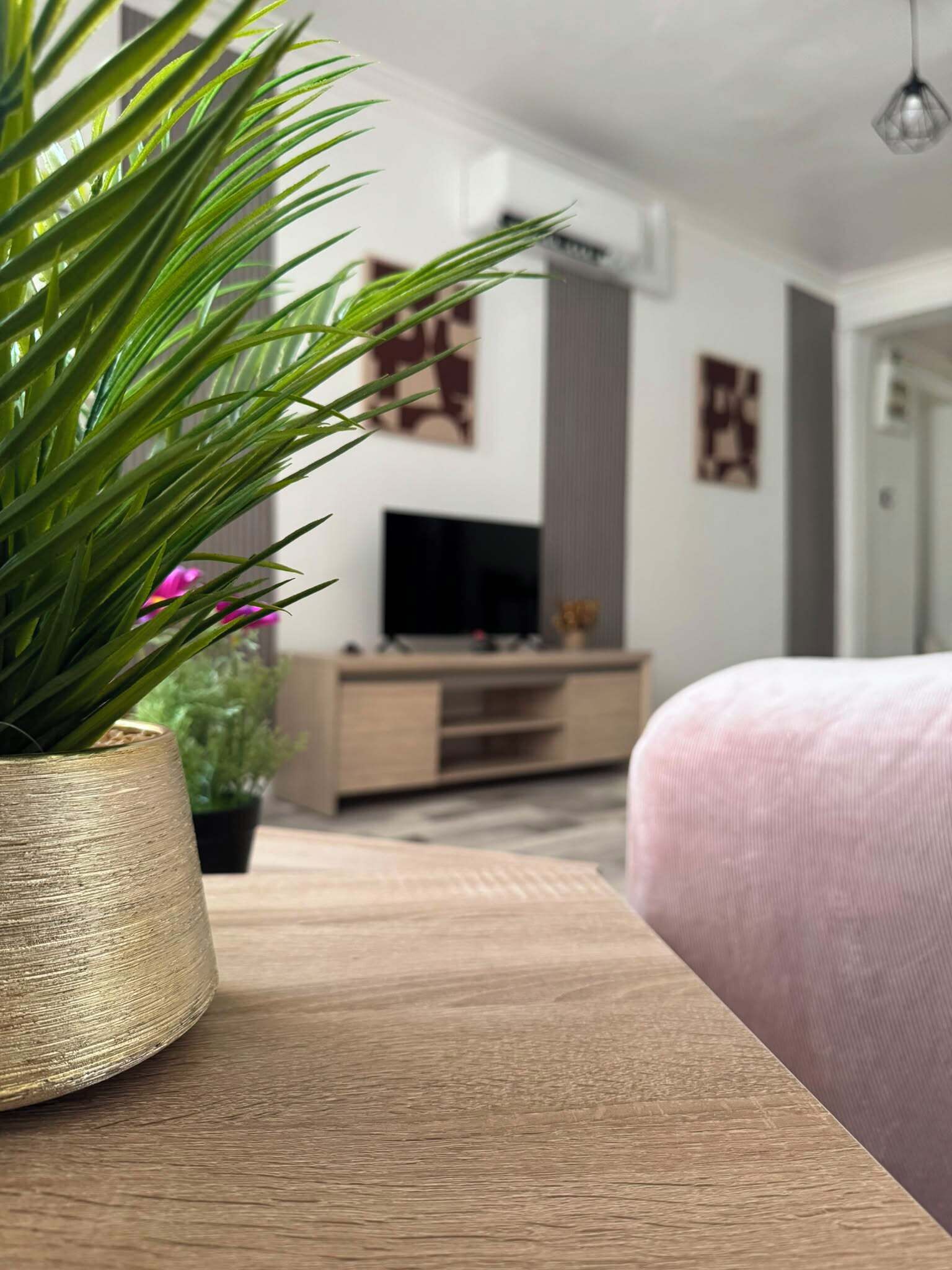 Een moderne woonkamer met een houten salontafel, een plant in pot, een televisie en een roze bank.
