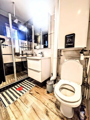 シャワー、ヘアドライヤー、石鹸、トイレットペーパー