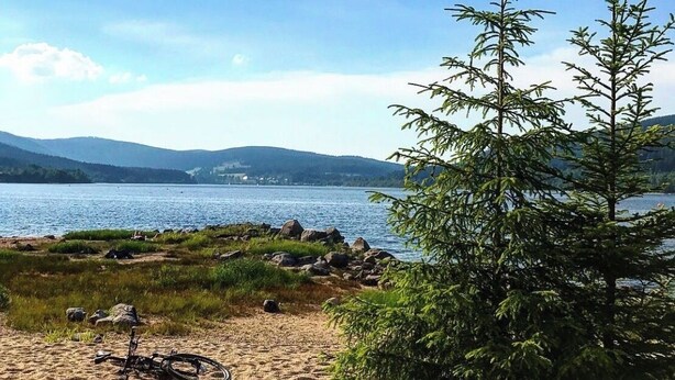A beach with a bicycle, a tree, and a lake with mountains in the background.