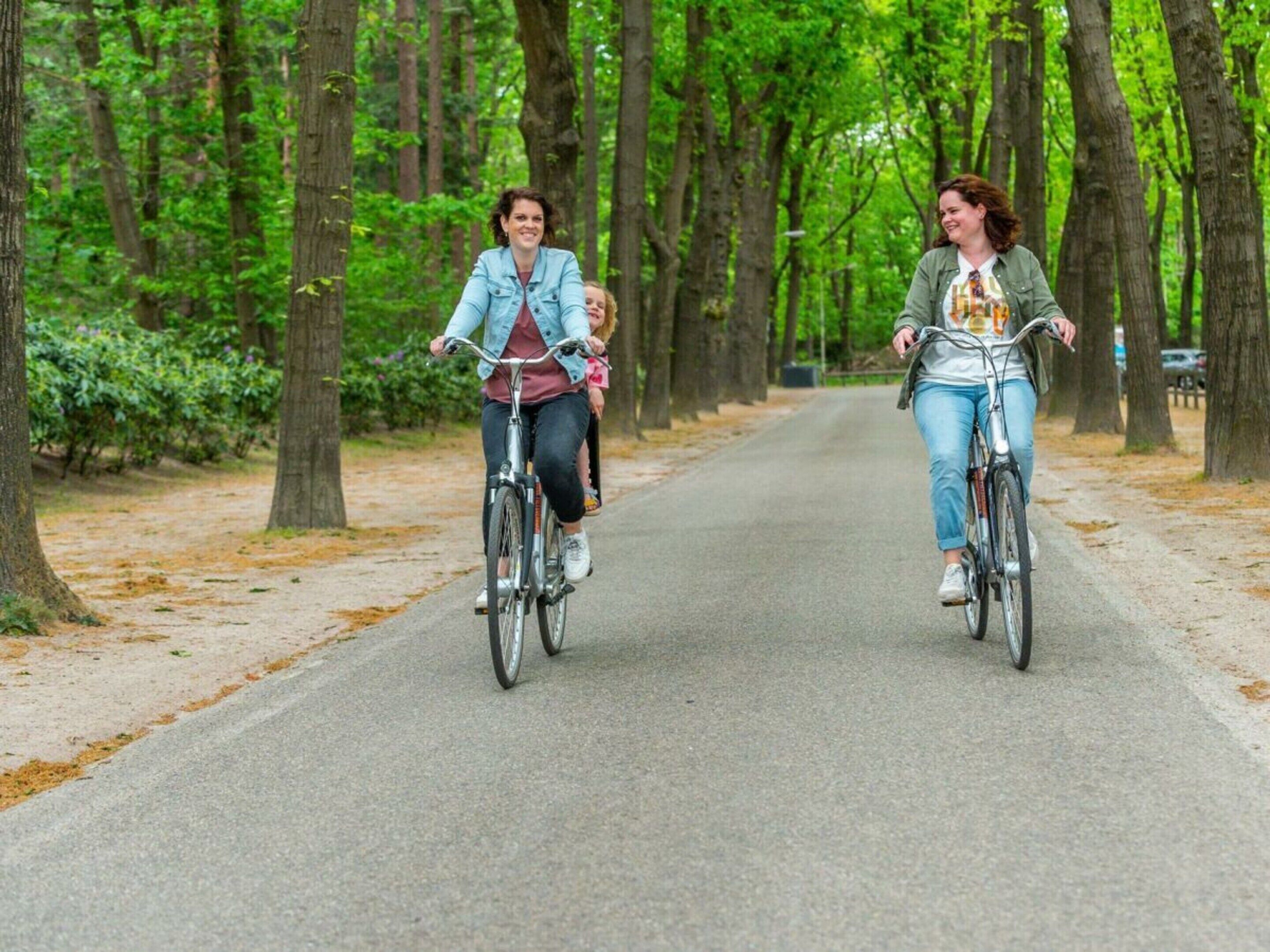 Two people riding bicycles on a tree-lined path.