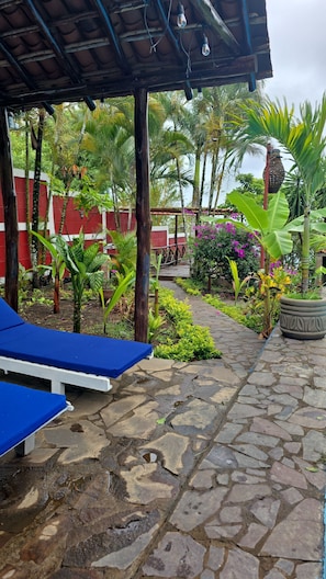 Terraza o patio