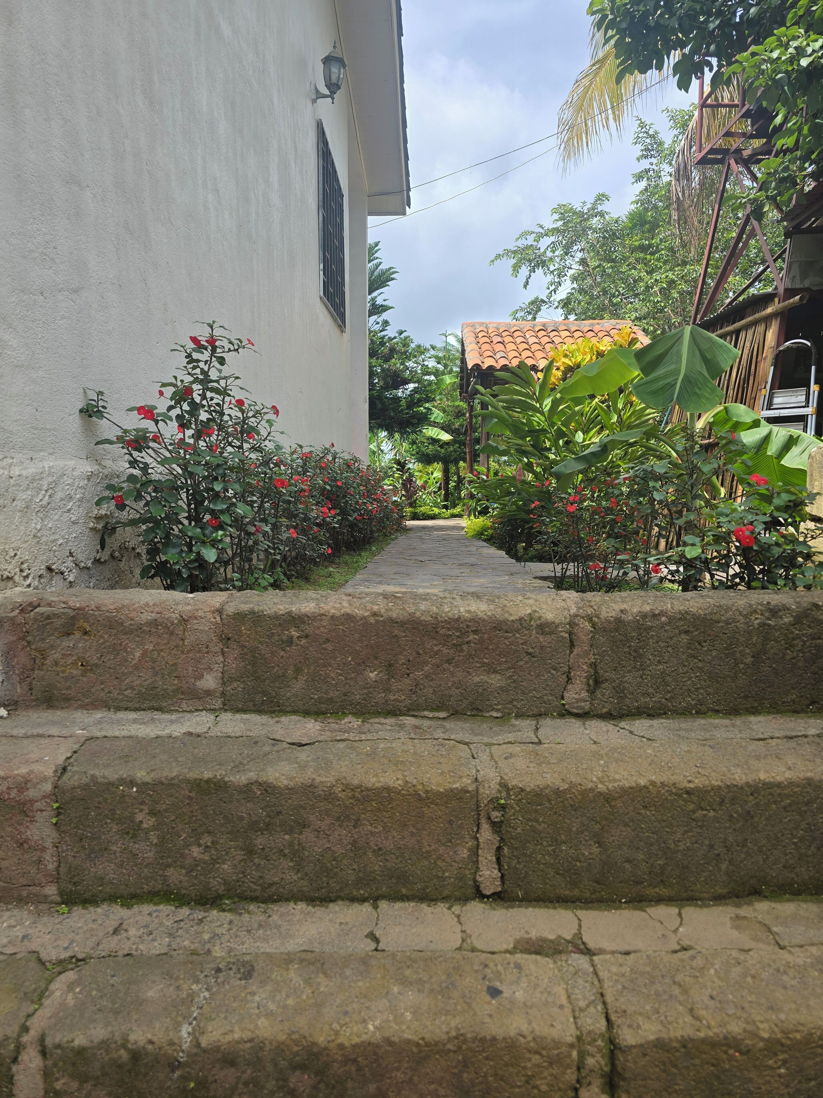 A stone staircase leading to a white building with a window and a lamp post.