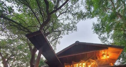 three little birds 2 bedroom