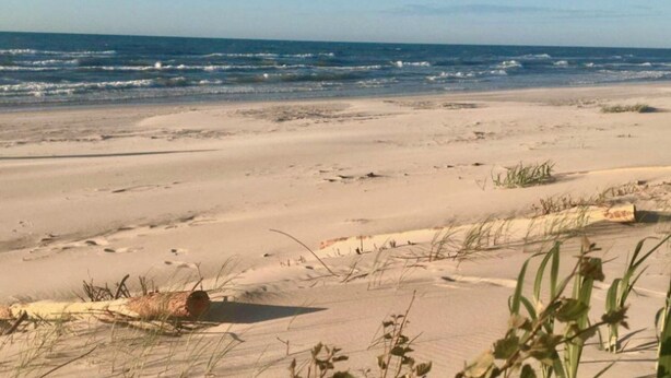 A beach with sand, grass, and the ocean. - Comfortable Holiday Home, Pool, Sauna, Jacuzzi (Krokowa)