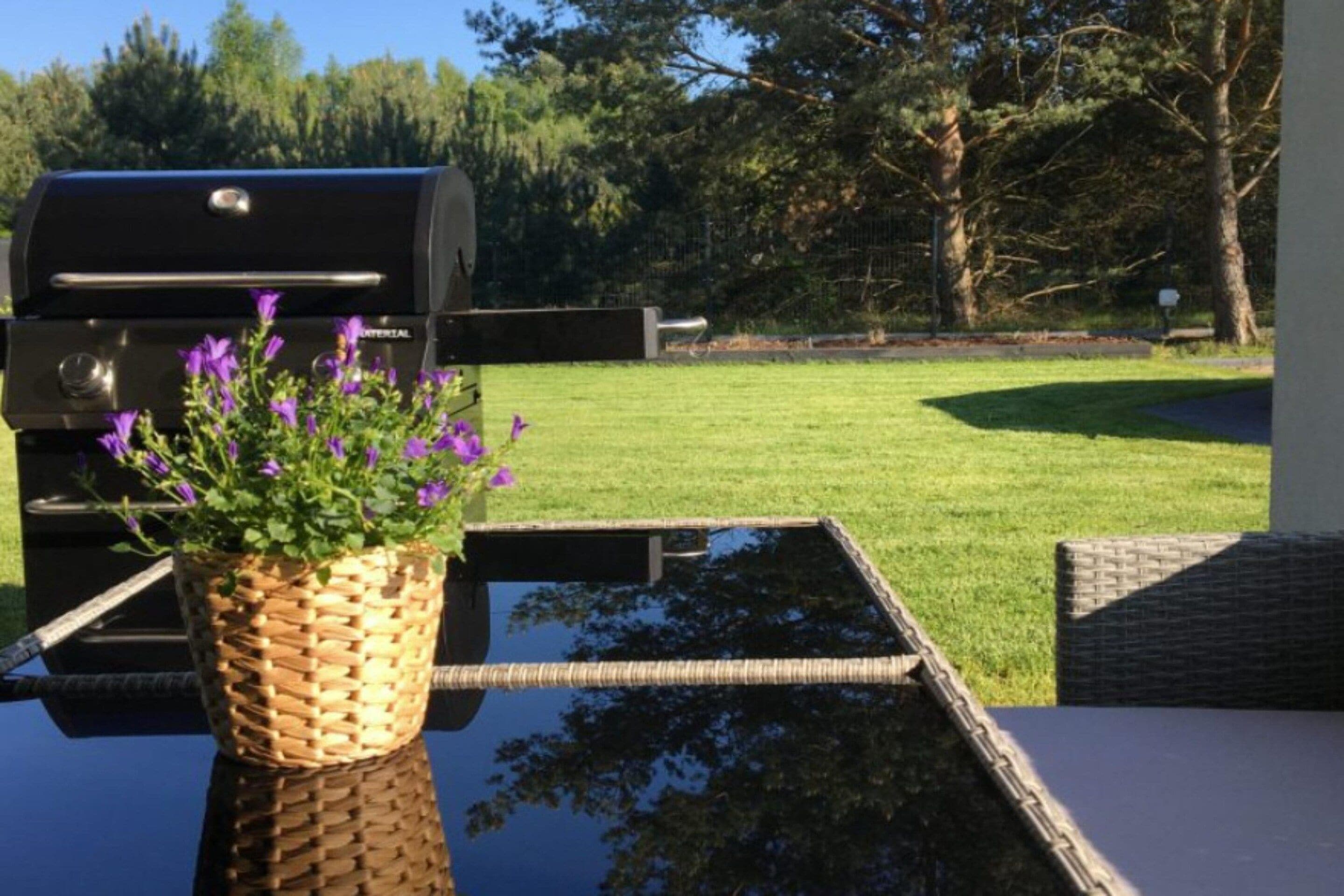 A patio area with a grill, a wicker table, and a potted plant.