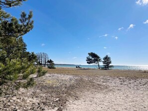 Ein Strand mit Bäumen, blauem Himmel und ruhiger See.