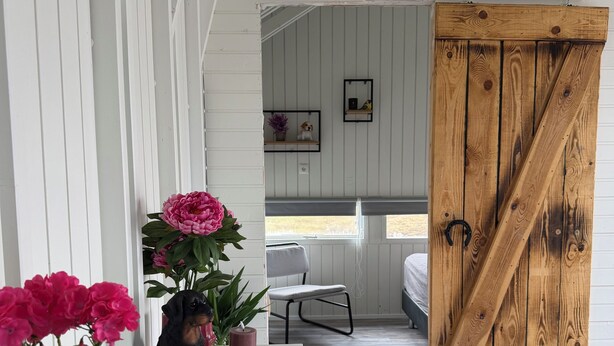 Une pièce avec un mur blanc, une porte en bois, une table blanche ornée d’un pot de plantes et une chaise.