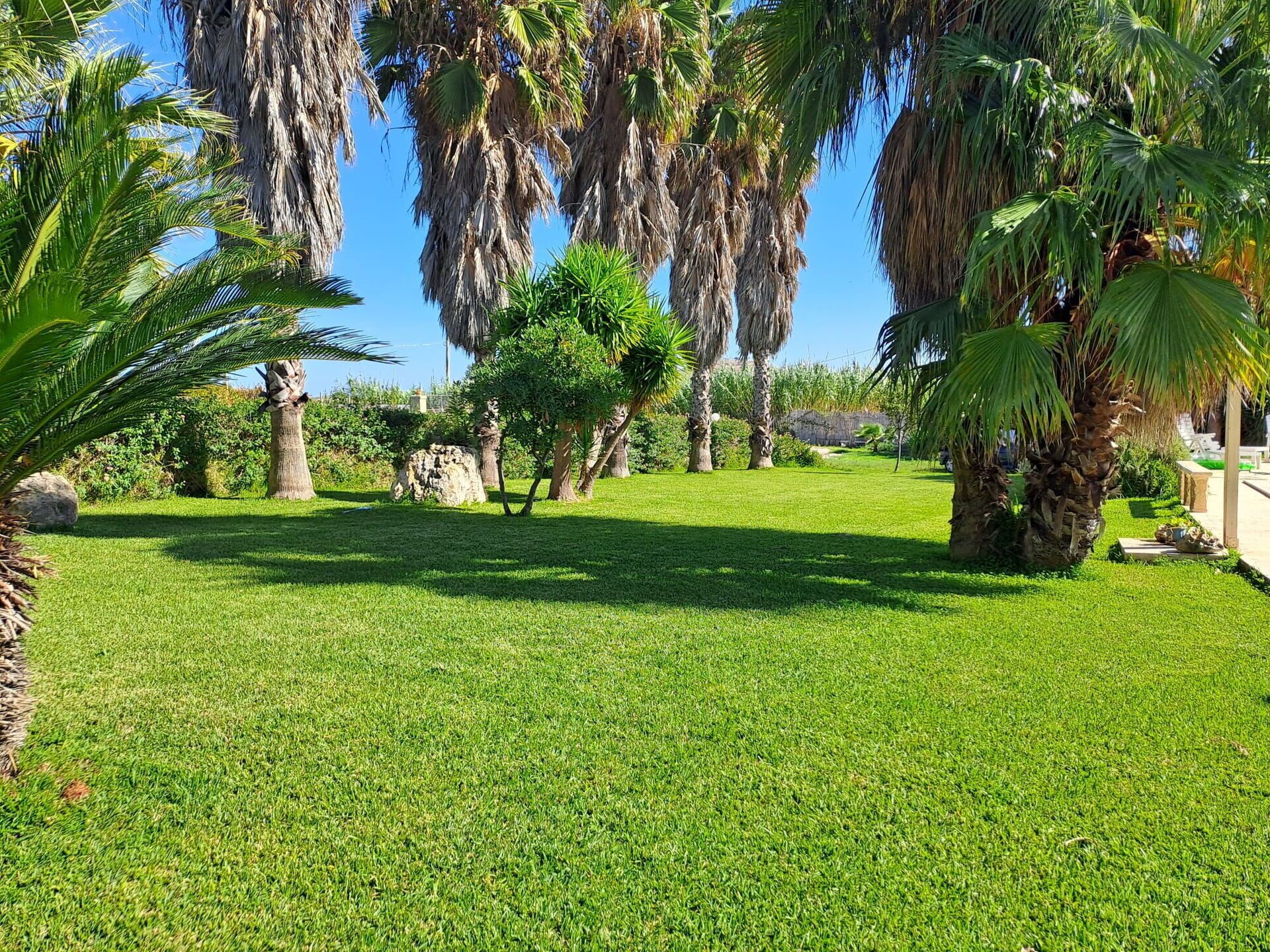 Parco della struttura