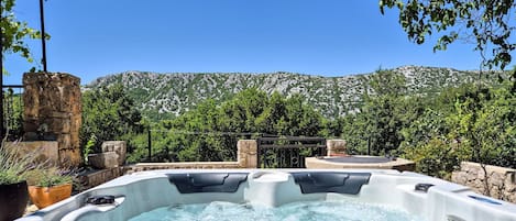 Un bain à remous doté d’une structure en pierre et entouré de verdure.