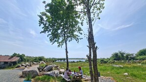 Ein Picknickbereich mit Tisch und Bänken, umgeben von Bäumen und einem Kiesweg.