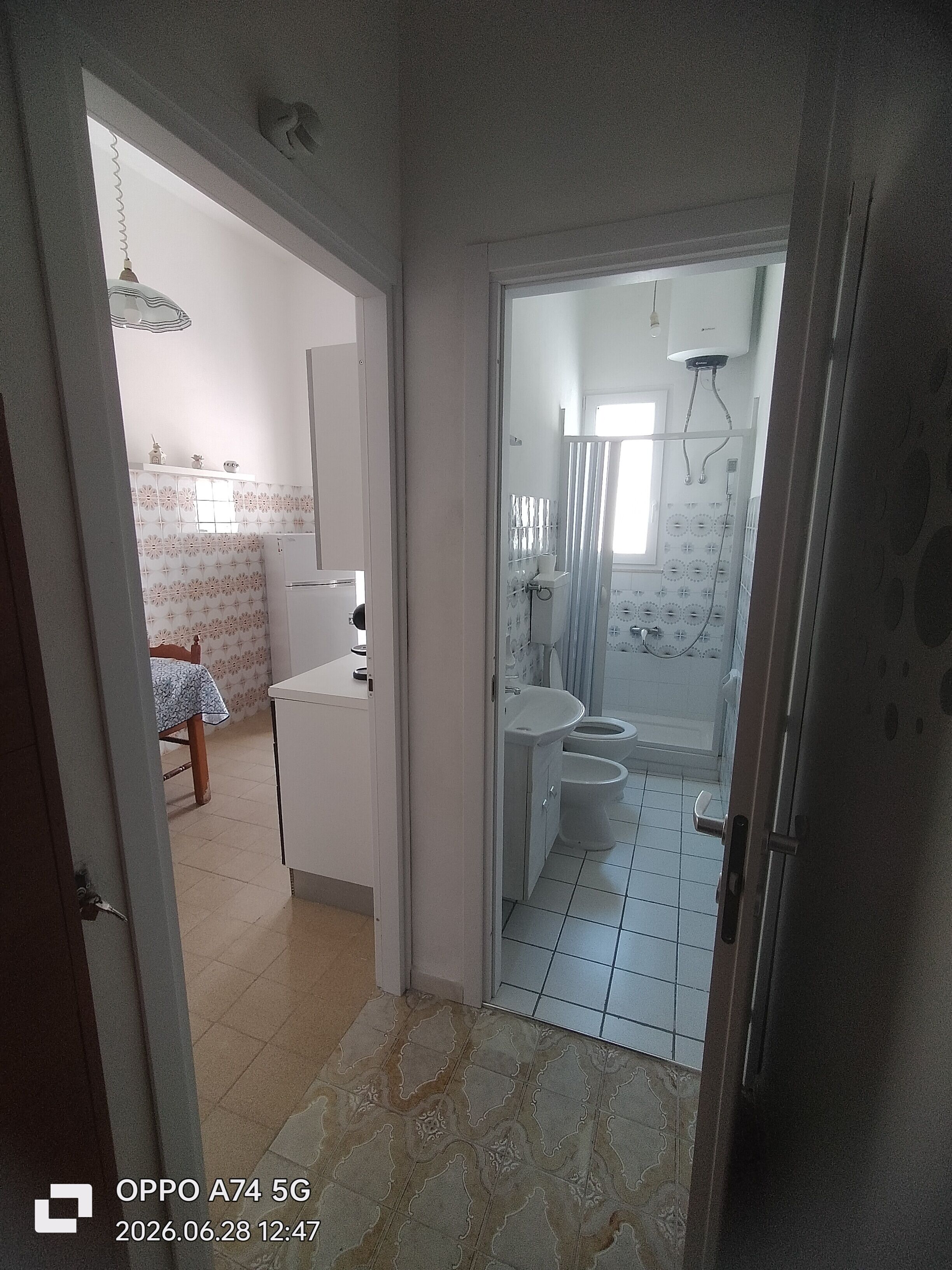 Haartrockner, Bidet, Handtücher, Seife