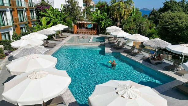 A swimming pool with lounge chairs and umbrellas, surrounded by greenery and a bar area.