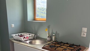 A kitchen with a gas stove, sink, and a window with a view of trees.