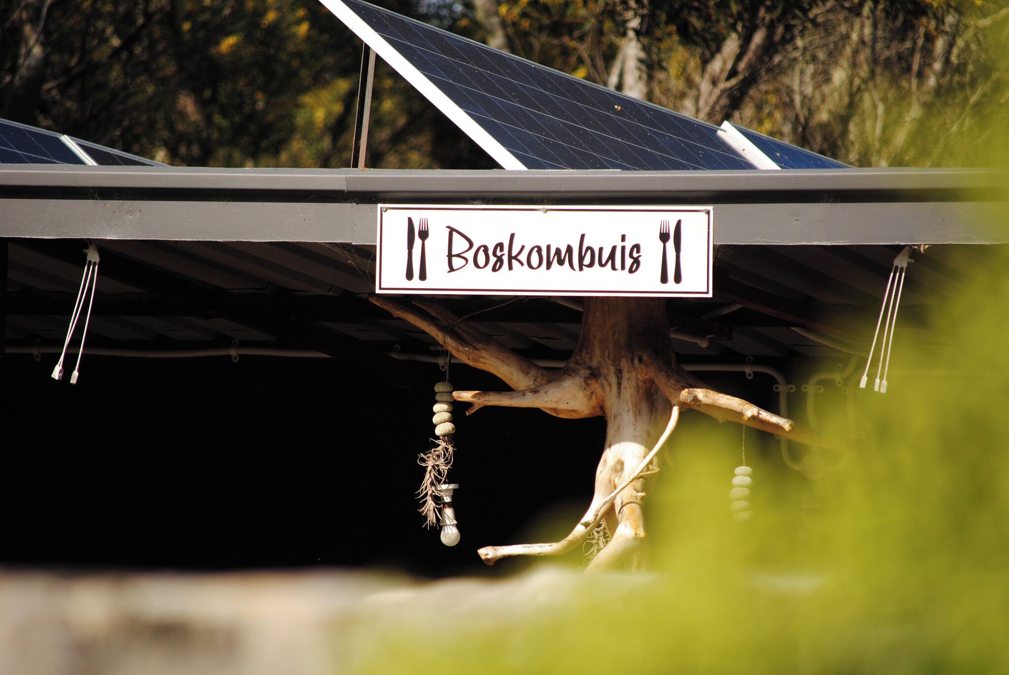 Une installation de panneaux solaires avec une pancarte indiquant « Boskombuis ».