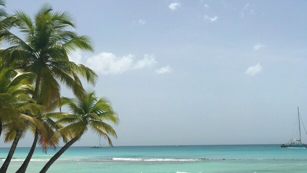 Una playa con aguas turquesas cristalinas, palmeras y un velero.