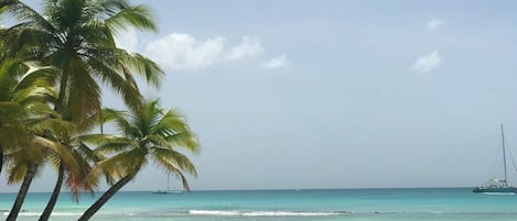 Playa en los alrededores