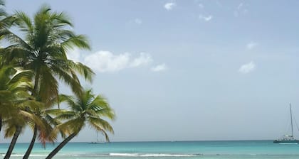 Excellent located cozy apt, pet-friendly, 8-min-walk to the beach in Bayahíbe!