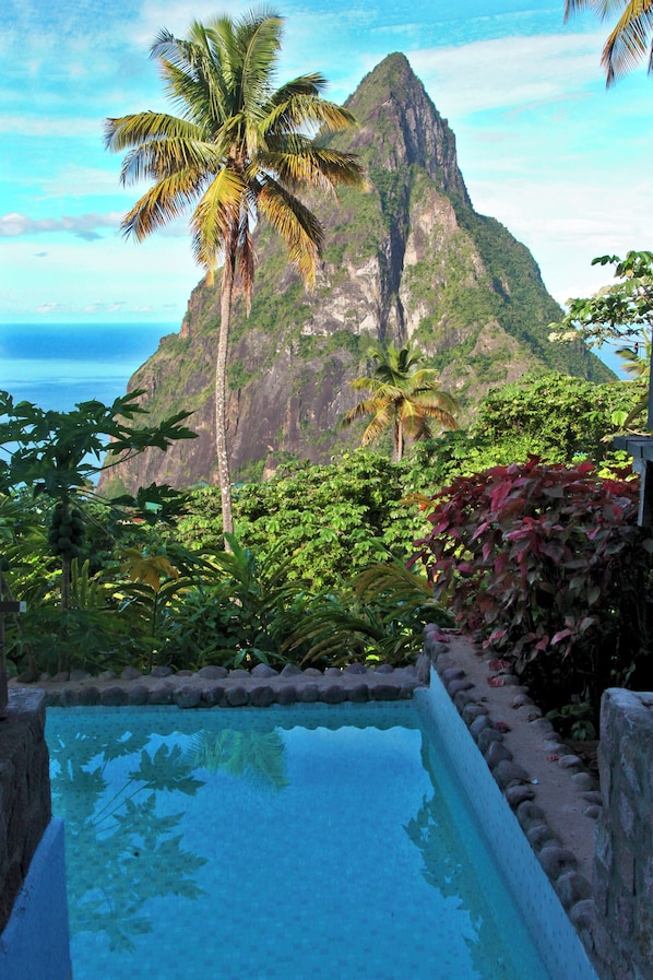 A pool with a view of a mountain and palm trees.