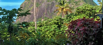Piton Views & Private Pool