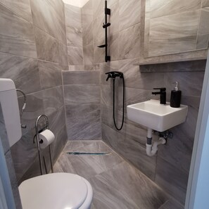 A modern bathroom with a toilet, a shower with a handheld showerhead, a sink with a soap dispenser, and a towel rack. - Budget Double Rooms in Vienna (VIENNA)