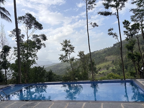 Canela Vista