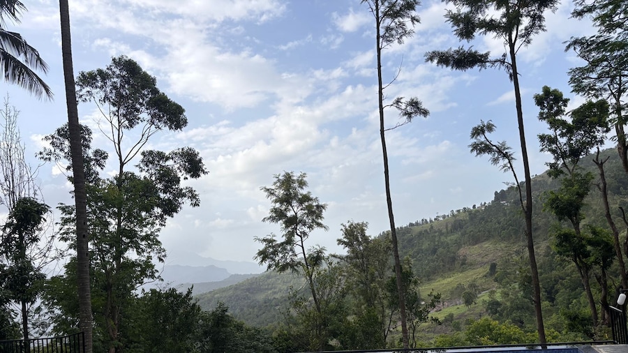 Canela Vista