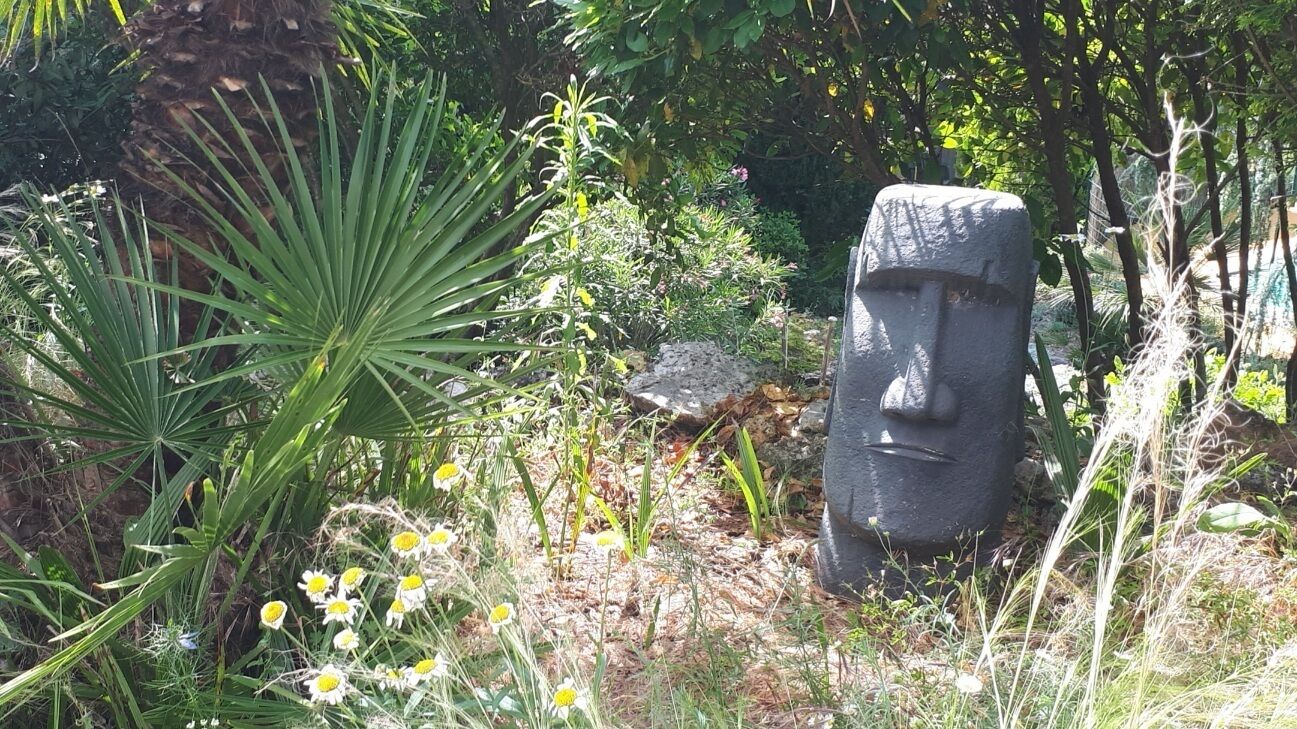 A garden with a stone head sculpture surrounded by various plants and flowers.