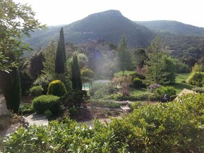 A garden with a pool, surrounded by various plants and trees, with a mountain in the background.
