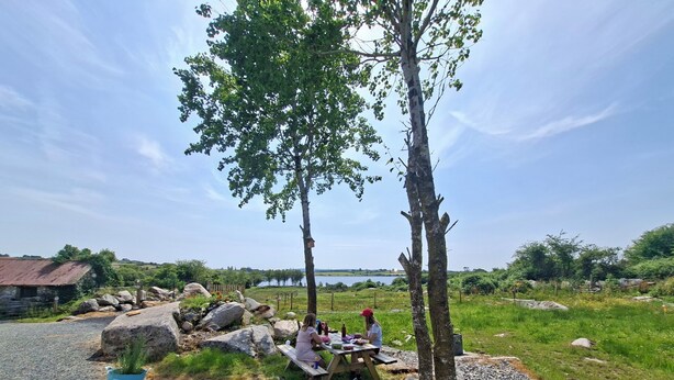 En picnicplads med et bord og bænke, omgivet af træer og en grussti.