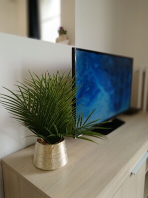 Ein Blumentopf mit Pflanze auf einer Holztischplatte neben einem Fernseher.